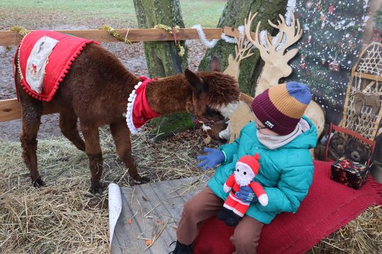 Gm. Siedliszcze. Magiczny Jarmark Bożonarodzeniowy w Dworze Kulik [GALERIA ZDJĘĆ]