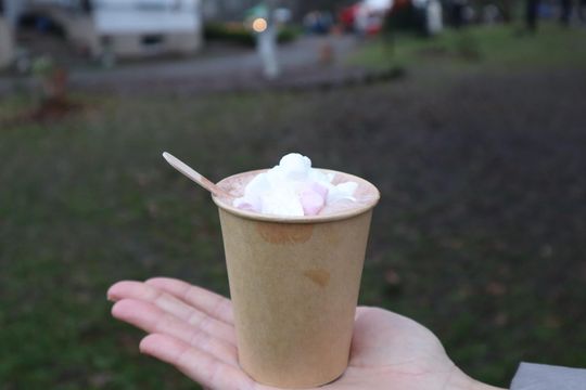 Gm. Siedliszcze. Magiczny Jarmark Bożonarodzeniowy w Dworze Kulik [GALERIA ZDJĘĆ]