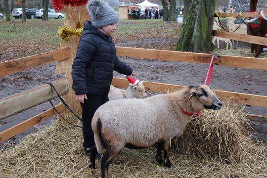 Gm. Siedliszcze. Magiczny Jarmark Bożonarodzeniowy w Dworze Kulik [GALERIA ZDJĘĆ]