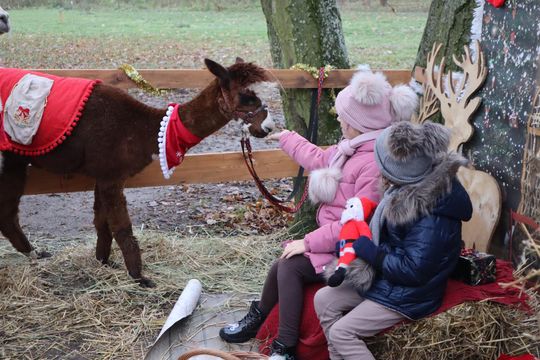 Gm. Siedliszcze. Magiczny Jarmark Bożonarodzeniowy w Dworze Kulik [GALERIA ZDJĘĆ]