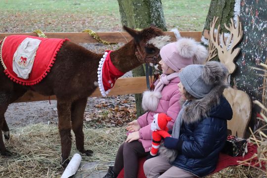 Gm. Siedliszcze. Magiczny Jarmark Bożonarodzeniowy w Dworze Kulik [GALERIA ZDJĘĆ]