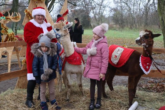 Gm. Siedliszcze. Magiczny Jarmark Bożonarodzeniowy w Dworze Kulik [GALERIA ZDJĘĆ]
