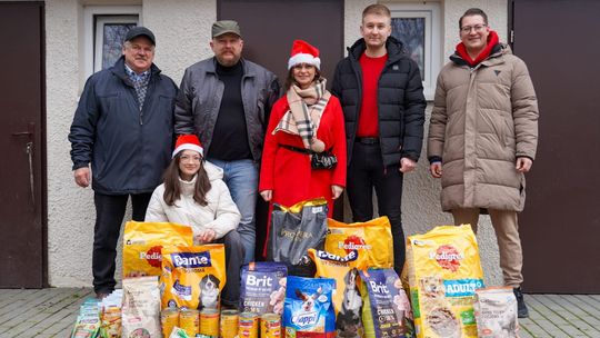 Mikołajki w chełmskim schronisku dla zwierząt. Pieski czekają na adopcję [GALERIA ZDJĘĆ]