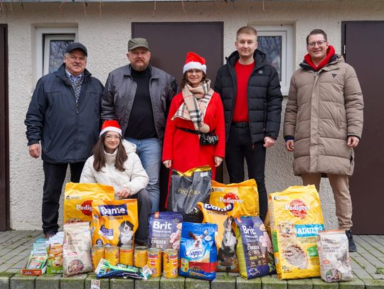 Mikołajki w chełmskim schronisku dla zwierząt. Pieski czekają na adopcję [GALERIA ZDJĘĆ]