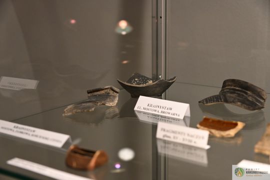 Pow. krasnostawski. Wystawa „Pod warstwą czasu” oficjalnie otwarta [GALERIA ZDJĘĆ]