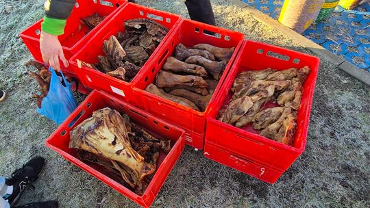 Targowisko Gminne nad Zalewem Żółtańce. Co tu można kupić? [GALERIA ZDJĘĆ]