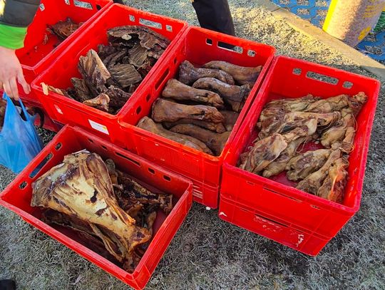 Targowisko Gminne nad Zalewem Żółtańce. Co tu można kupić? [GALERIA ZDJĘĆ]