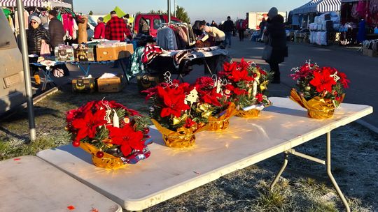 Targowisko Gminne nad Zalewem Żółtańce. Co tu można kupić? [GALERIA ZDJĘĆ]