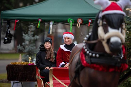 Gminny Jarmark Świąteczny w Pokrówce [GALERIA ZDJĘĆ]