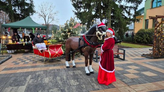 Gminny Jarmark Świąteczny w Pokrówce [GALERIA ZDJĘĆ]
