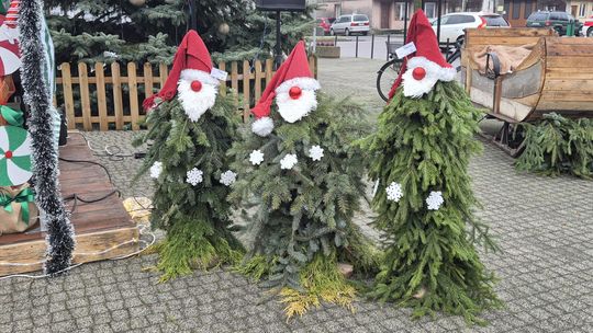 Siedliski Jarmark Bożonarodzeniowy [GALERIA ZDJĘĆ]