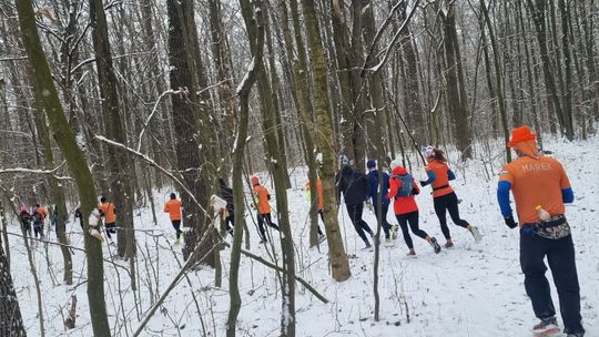 Biegacze z Chełma przywitali 2026 rok na sportowo [GALERIA ZDJĘĆ]