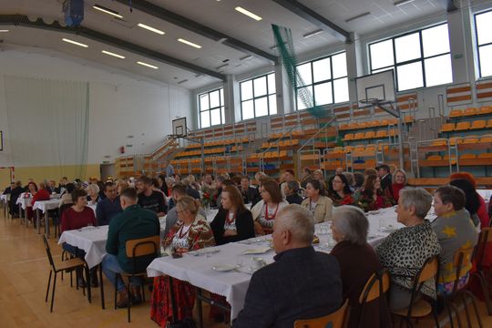 Gm. Żółkiewka. Noworoczne spotkanie kół gospodyń wiejskich [GALERIA ZDJĘĆ] 