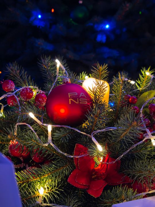 Noworoczne Kolędowanie "Chór Akademicki i Przyjaciele" w PANS w Chełmie [GALERIA ZDJĘĆ]