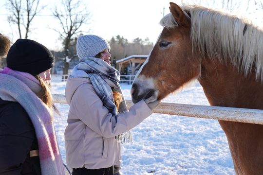 Krasnystaw. Kulig Stowarzyszenia „Krasnostawianie” [GALERIA ZDJĘĆ] 