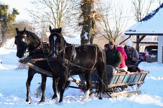 Krasnystaw. Kulig Stowarzyszenia „Krasnostawianie” [GALERIA ZDJĘĆ] 