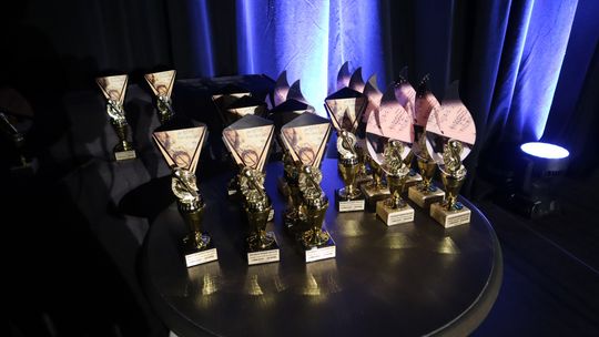 Regionalny Konkurs Muzyczny w gminie Urszulin