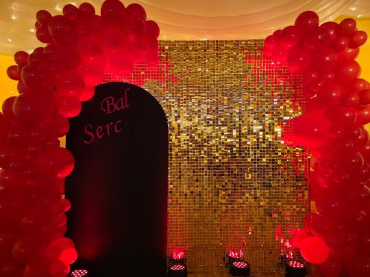 Krasnystaw. X Bal Serc 2026 [GALERIA ZDJĘĆ]