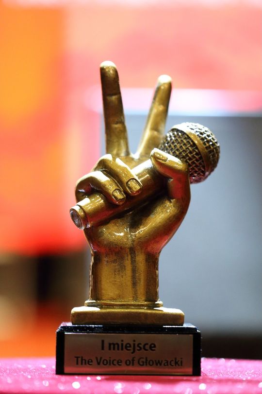 Pow. krasnostawski. IX finał „The Voice of Głowacki” - triumf Amelii Puchalskiej [GALERIA ZDJĘĆ]