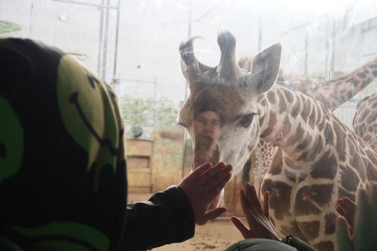 Gm. Krasnystaw. Zima bez nudy – ferie z pasją i sportem w Małochwieju Dużym [GALERIA ZDJĘĆ]