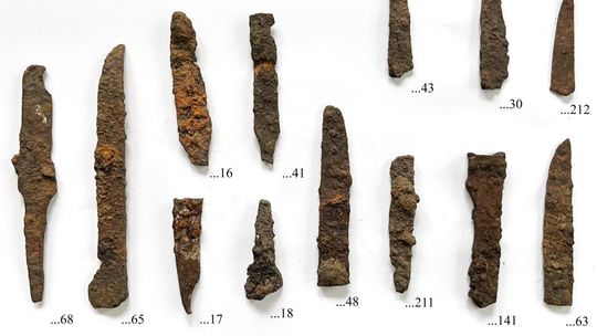 Kaplonosy Kolonia, gm. Wyryki. Grodzisko ukryte wśród bagien.