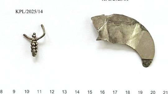 Kaplonosy Kolonia, gm. Wyryki. Grodzisko ukryte wśród bagien.