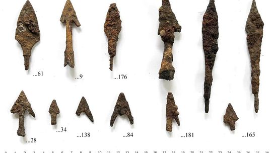 Kaplonosy Kolonia, gm. Wyryki. Grodzisko ukryte wśród bagien.