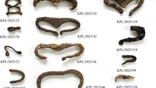 Kaplonosy Kolonia, gm. Wyryki. Grodzisko ukryte wśród bagien.