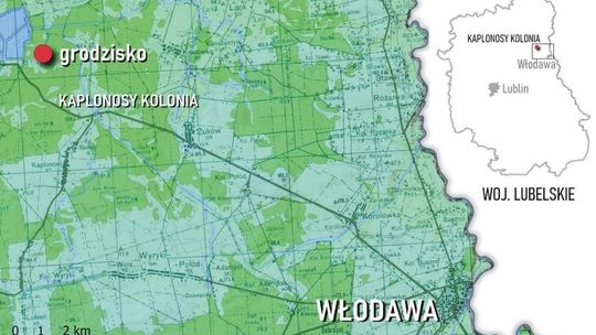 Kaplonosy Kolonia, gm. Wyryki. Grodzisko ukryte wśród bagien.