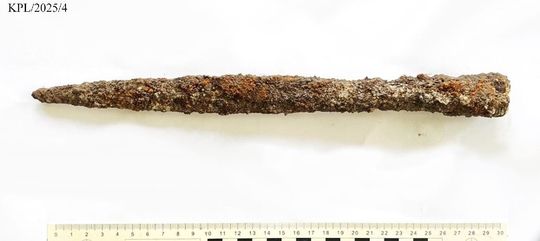 Kaplonosy Kolonia, gm. Wyryki. Grodzisko ukryte wśród bagien. Nowe ustalenia badawcze ze stanowiska w Kaplonosach Kolonii.