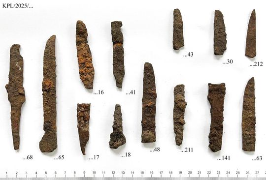 Kaplonosy Kolonia, gm. Wyryki. Grodzisko ukryte wśród bagien.