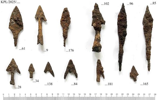 Kaplonosy Kolonia, gm. Wyryki. Grodzisko ukryte wśród bagien.
