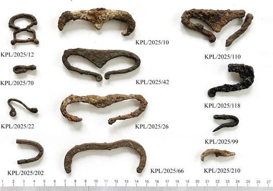 Kaplonosy Kolonia, gm. Wyryki. Grodzisko ukryte wśród bagien.