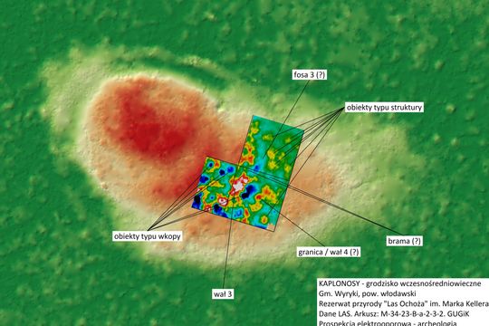 Kaplonosy Kolonia, gm. Wyryki. Grodzisko ukryte wśród bagien.