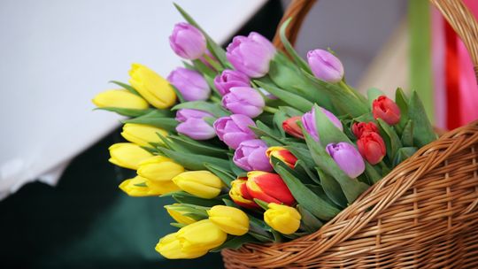 Tak gmina Włodawa świętowała Dzień Kobiet w Stawkach