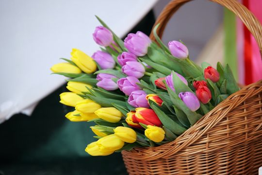 Gm. Włodawa. Gminny Dzień Kobiet w Stawkach [GALERIA ZDJĘĆ]