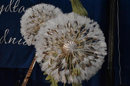 Dzień Kobiet w gminie Fajsławice [GALERIA ZDJĘĆ]