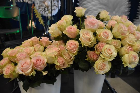 Dzień Kobiet w gminie Fajsławice [GALERIA ZDJĘĆ]