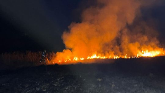 Wypalanie traw znów problemem. Strażacy interweniują coraz częściej [ZDJĘCIA]