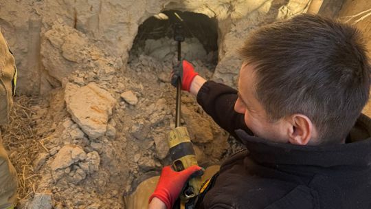 Nietypowa interwencja strażaków. Pies utknął w lisiej norzev [ZDJĘCIA]