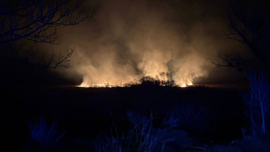 Pożar w Dobryniowie. Spłonęło 30 hektarów [ZDJĘCIA]