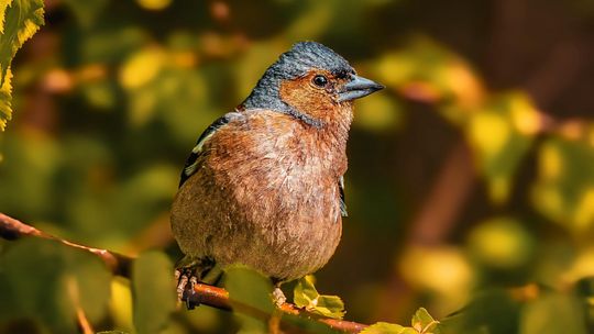 Fotografia autorstwa Elżbiety Paciorkowskiej w światowej elicie