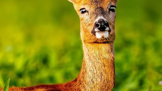 Fotografia autorstwa Elżbiety Paciorkowskiej w światowej elicie