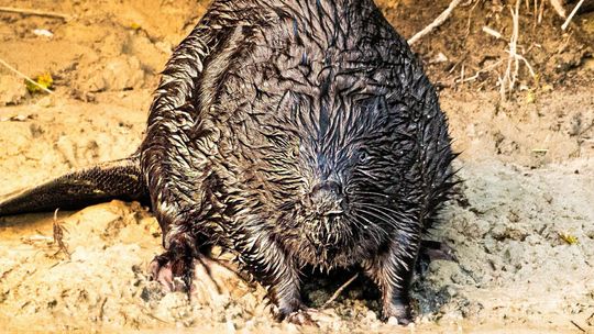 Fotografia autorstwa Elżbiety Paciorkowskiej w światowej elicie