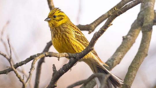 Fotografia autorstwa Elżbiety Paciorkowskiej w światowej elicie