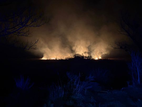 Pożar w Dobryniowie. Spłonęło 30 hektarów [ZDJĘCIA]