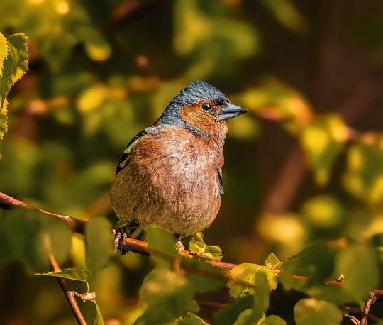 Włodawska fotografka Elżbieta Paciorkowska w światowej elicie