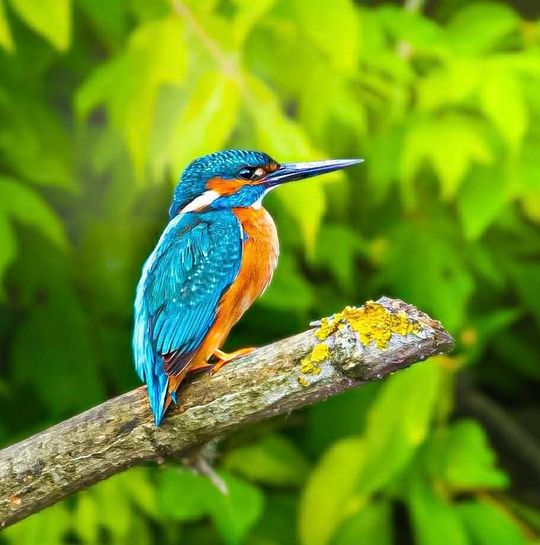 Włodawska fotografka Elżbieta Paciorkowska w światowej elicie