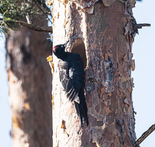 Włodawska fotografka Elżbieta Paciorkowska w światowej elicie