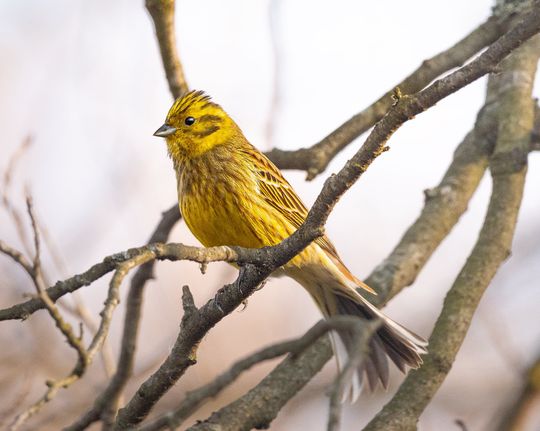 Włodawska fotografka Elżbieta Paciorkowska w światowej elicie